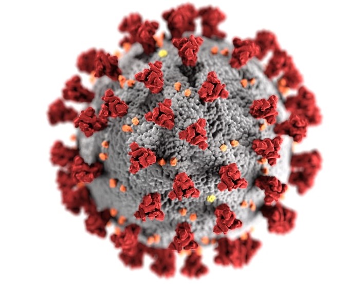 सबैभन्दा बढी सङ्क्रमित २१ देखि ३० वर्ष उमेर समूहका